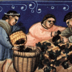 Postal - Lorvão (Vindimas)