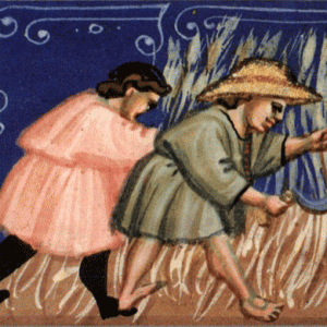 Postal - Lorvão (verão)